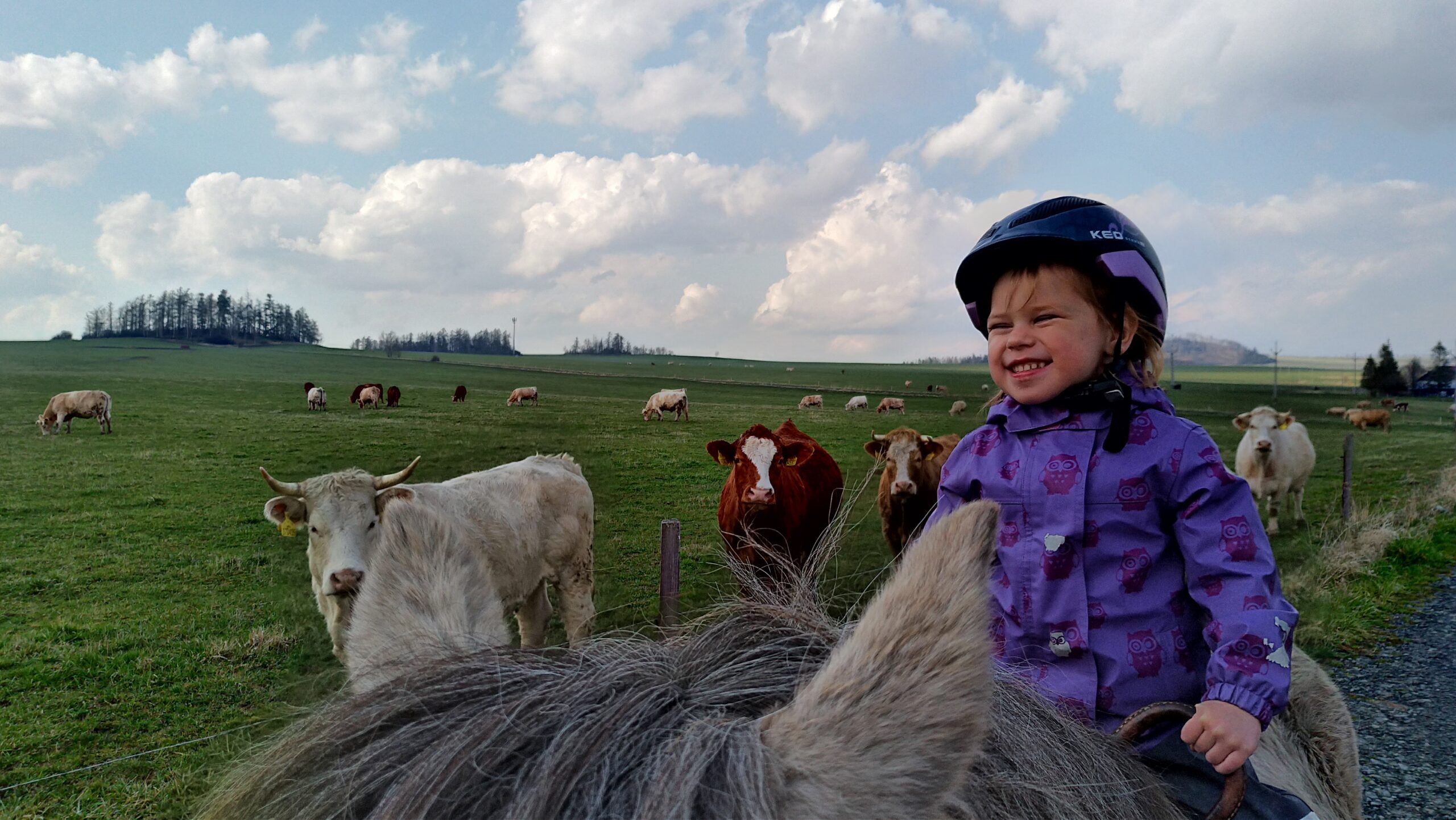 Vycházky pro celou rodinu